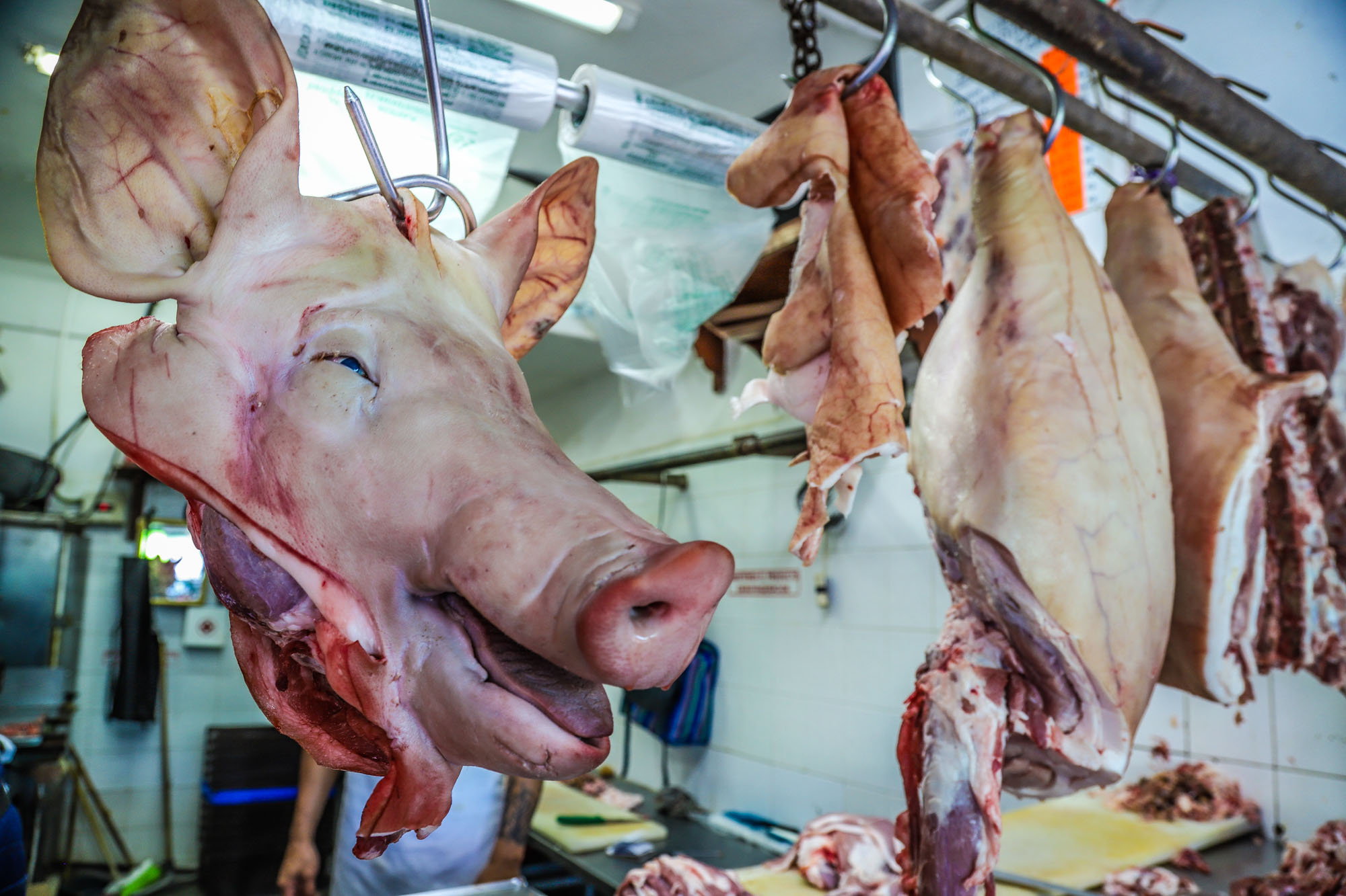 Tomuto sa cvrčkovina vonkoncom nevyrovná