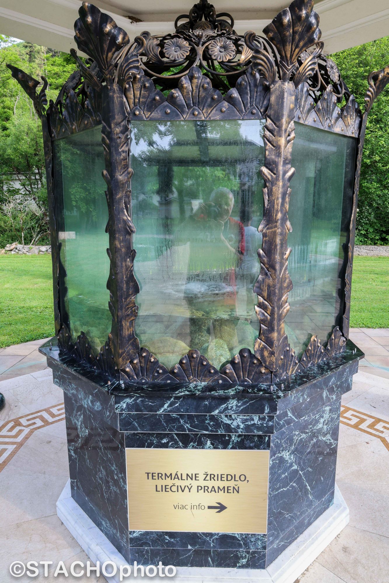 AUTOPORTRET V LIECIVOM PRAMENI