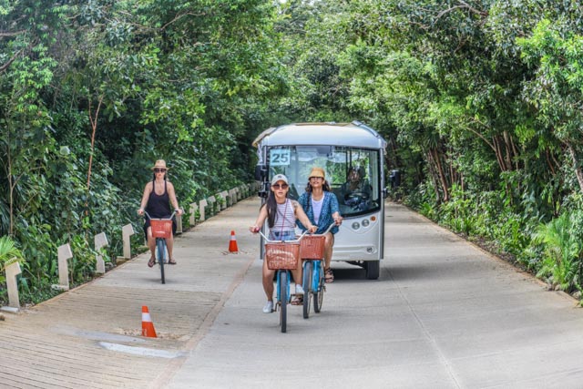 Doprava v Tulumskej džungli