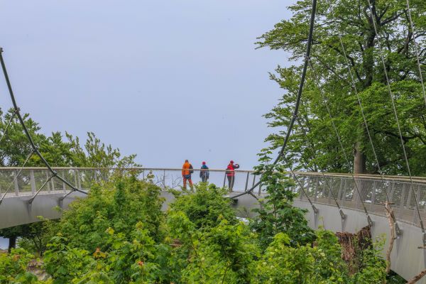 Köningstuhl vyhliadkova plosina nad kriedovymi utesmi