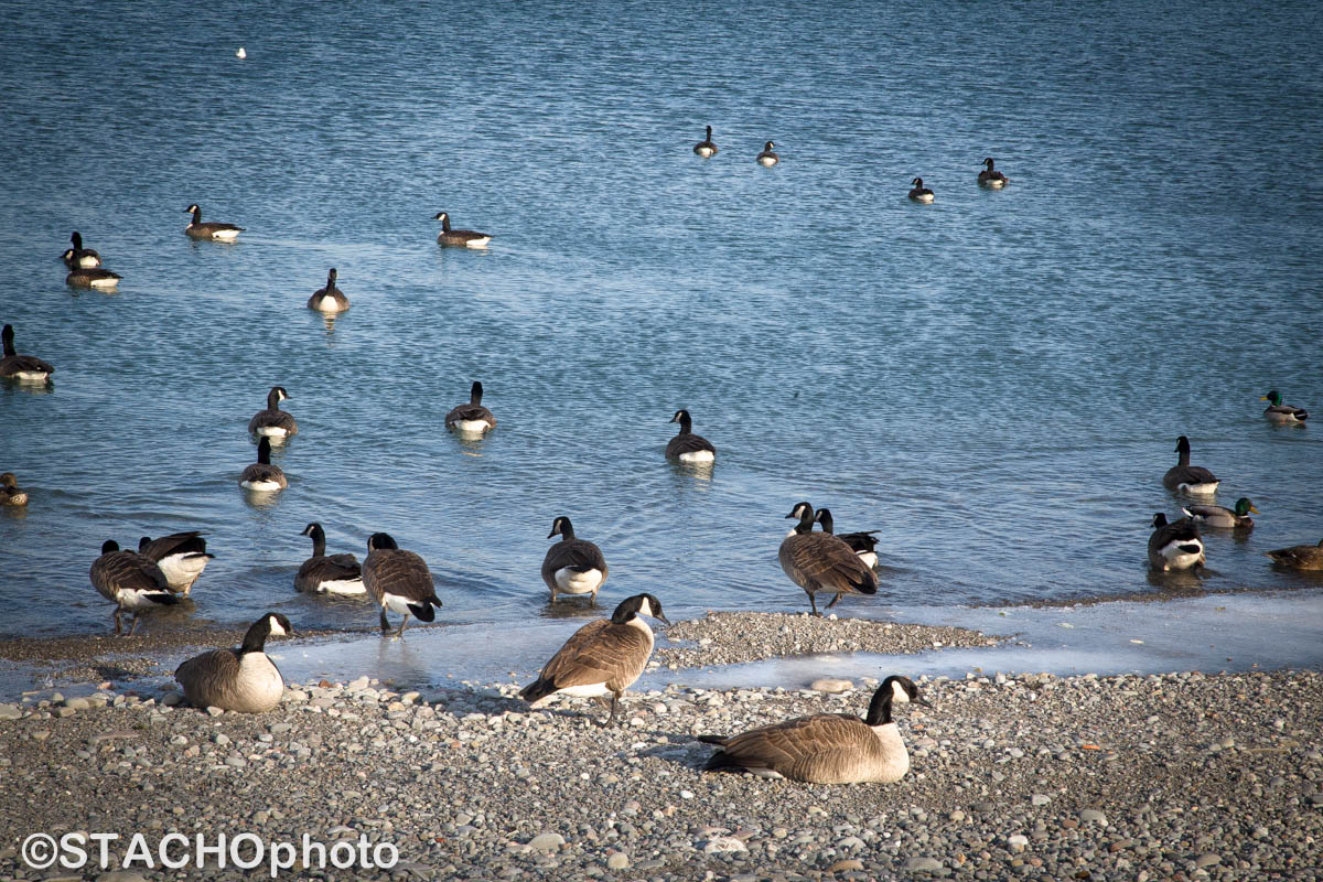 Ontárijské Jazero 6