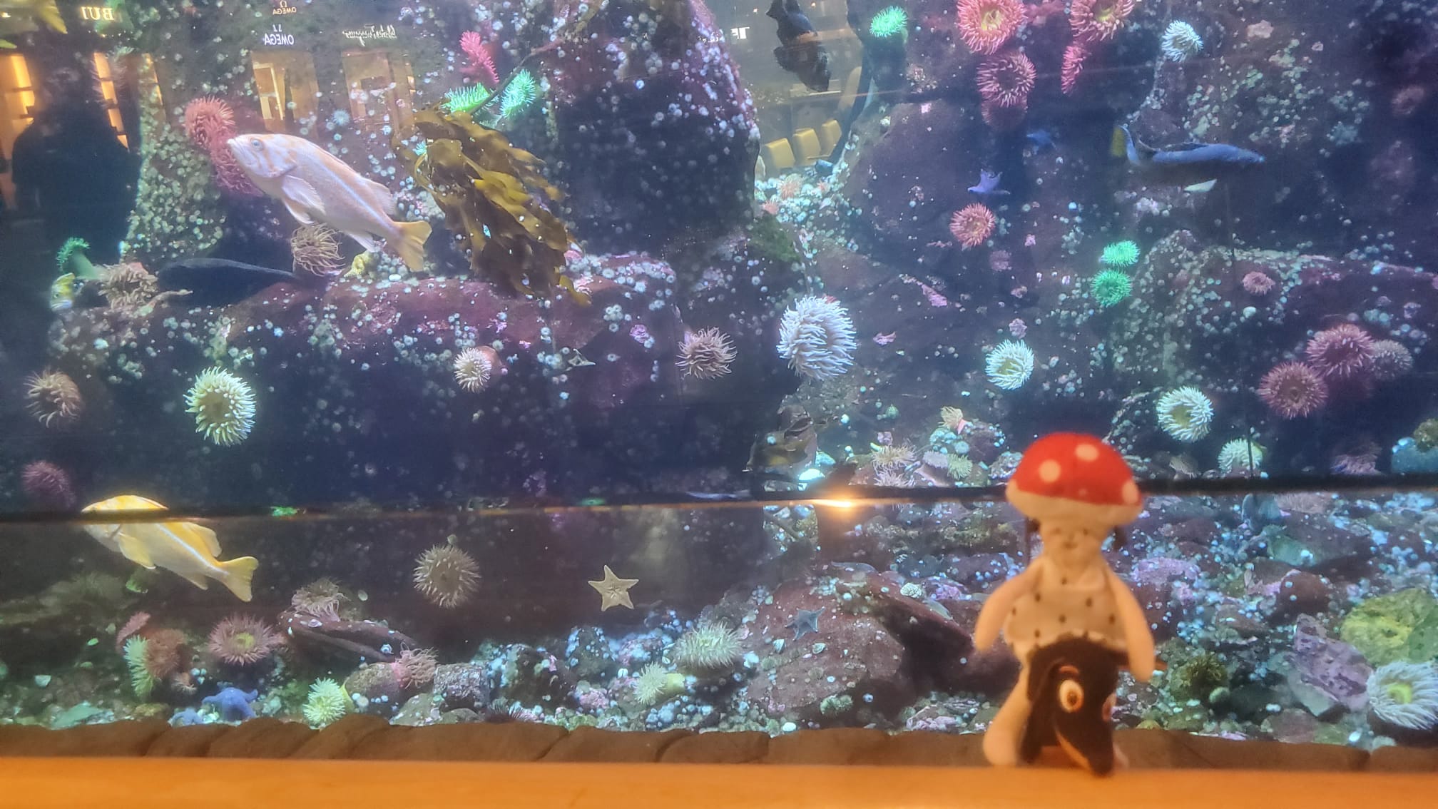 Akvárium na letisku vo Vancouveri