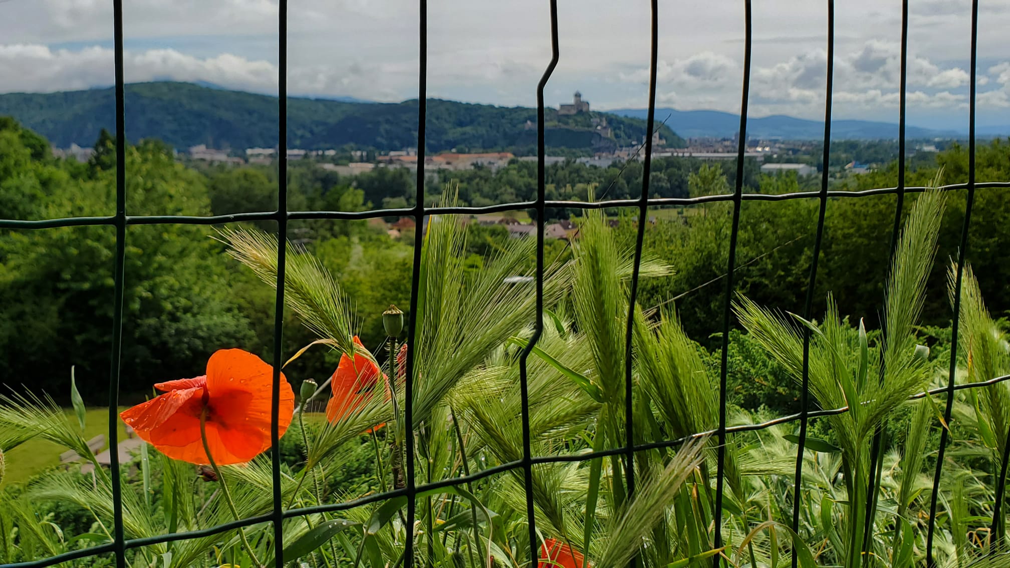 Cesta na stretnutie krasistov