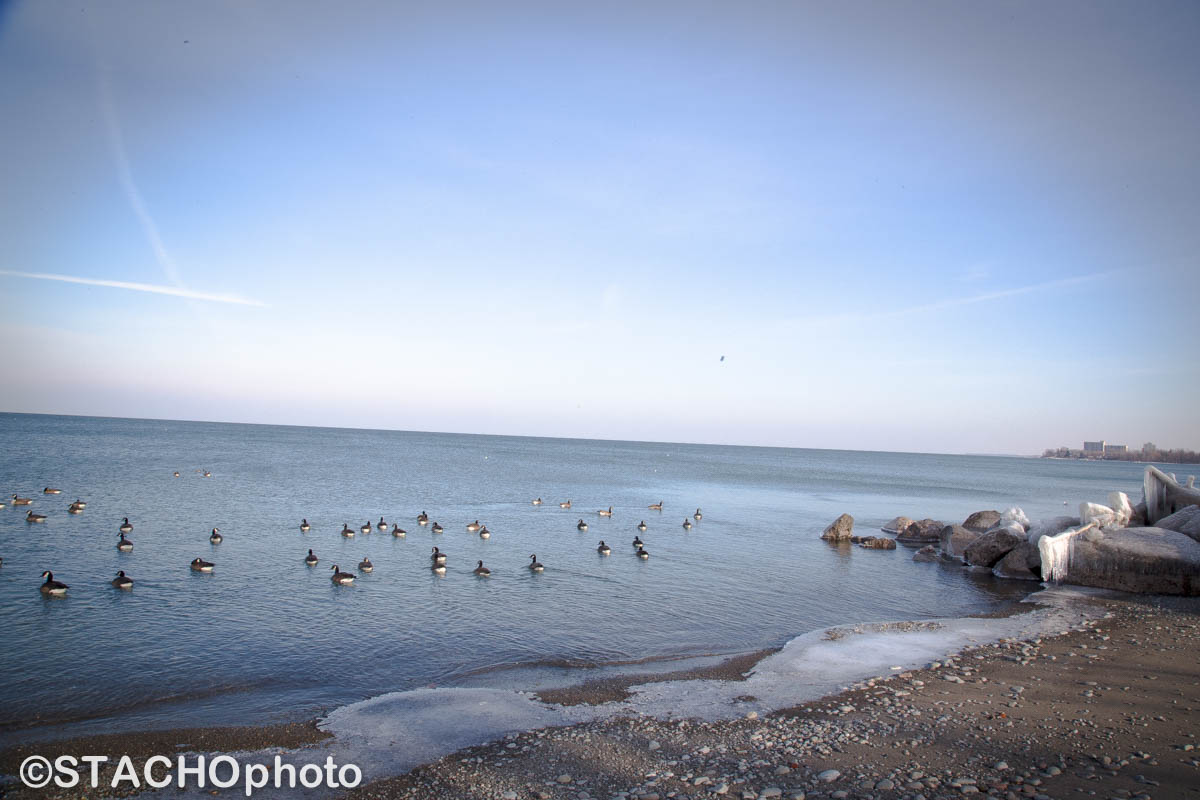 Ontárijské Jazero ý